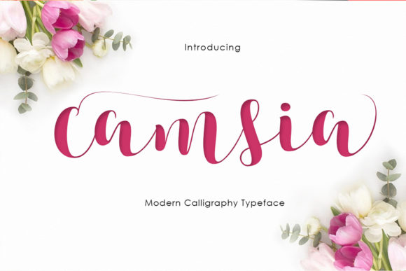 Camsia Font Review for Creative Makers and Designers