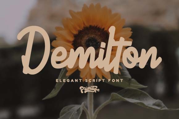 Demilton Font: A Handwritten Script for Editorial Elegance