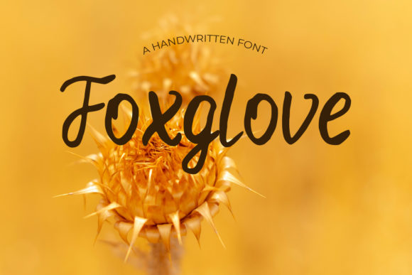 Foxglove Font: A Modern Script for Elegant Design