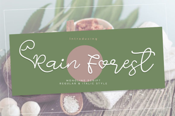 Rain Forest Font: Romantic Script for Design Projects