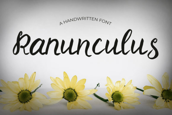 Ranunculus Font for Handwritten Branding and Creative Designs