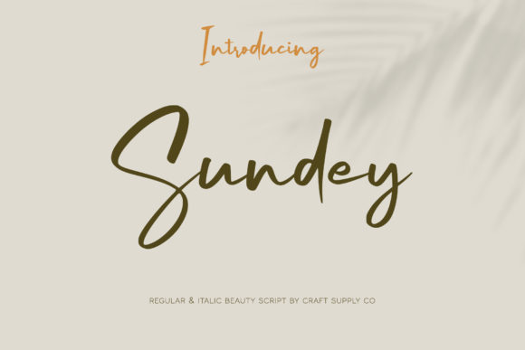 Sundey: A Delicate Script Font for Modern Branding and Design