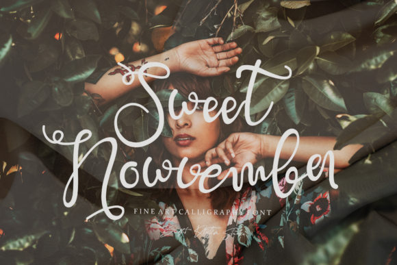 Sweet Nowvember Font for Business Branding and Design